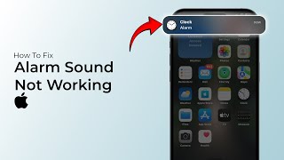 How to Fix iPhone Alarm Not WorkingiOS 18 [upl. by Hong120]