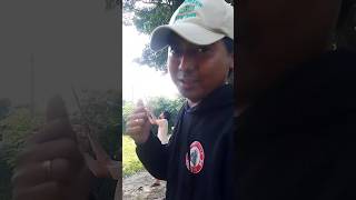 Mumpung nu bogana sare🤣 video shortvideo trending shorts short funny youtubeshorts [upl. by Ahsyekat667]