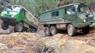 6x6  4x4  Mt Airly Part 1  Featuring Pinzgauer 6wd amp Perentie 4wd [upl. by Alfonso]