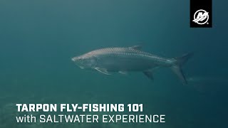 Tarpon FlyFishing 101 with Saltwater Experience [upl. by Reniar]