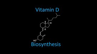 Vitamin D calciferol Biosynthesis [upl. by Rellia407]