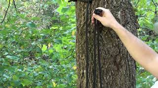 DIY Treestand Safety Lines and Test [upl. by Perlie]