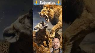 Hyena lion se क्यों इतना डरते हैं  Hyena vs lion  hindi facts  fact video  shorts facts [upl. by Sigmund145]