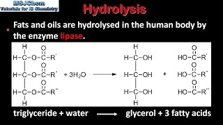 B3 Hydrolysis of lipids SL [upl. by Kitchen]