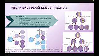 TRISOMÍAS 13 18 Y 21 SÍNDROMES KLINEFELTER Y TURNER [upl. by Llednor397]