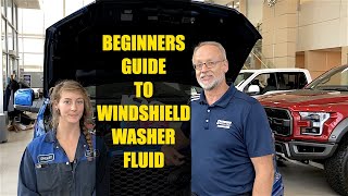 Windshield Washer Fluid Recommended Service [upl. by Eemak812]