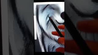 Wolf drawing 🐺 foryou art digitalillustration drawing digitalart viralvideo [upl. by Ramo]