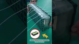 Febatt 18650 lithium battery pack lithiumbattery batterys 18650 [upl. by Lalittah]