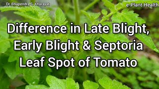 Difference in Late Blight Early Blight and Septoria Leaf Spot of TomatoDr Bhupendra S Kharayat [upl. by Eibrik950]