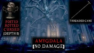 Bloodborne  Amygdala No Damage  Threaded Cane  Chalice Dungeon Depth 5 Foetid Rotted Cursed [upl. by Maxia]