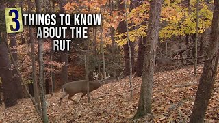 The Best Time to Hunt the Rut [upl. by Bakemeier]