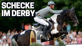 Ein Schecke in der Quali zum Derby 🔝  Was eine Seltenheit  RalfWerner König  Hamburger Derby [upl. by Awad]