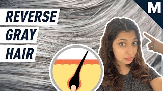 How to Reverse Gray Hair According to Scientists  Mashable [upl. by Katina280]