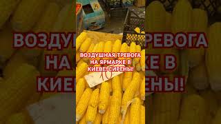 ЯРМАРКА КИЕВ УКРАИНА киев еда украина київ обзор україна киев2024 украинавойна киеврынок [upl. by Enialedam]