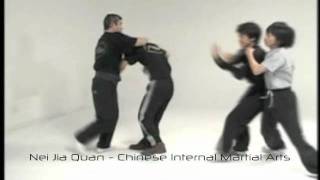 Multiple Opponents Sparring By Master Su Dong Chen 1 [upl. by Renato]