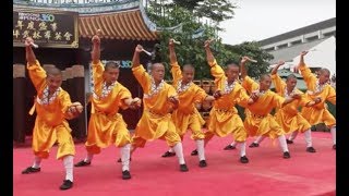 Shaolin Kungfu Masters [upl. by Pablo852]