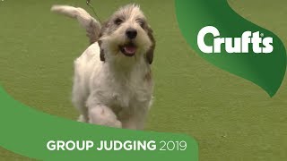 Hound Group Judging And Presentation  Crufts 2019 [upl. by Brightman]