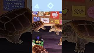 Ranking EVERY Fish in Animal Crossing New Horizons animalcrossing fyp shorts funny [upl. by Ahsemot]