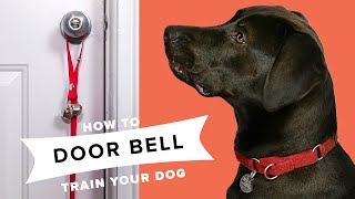 How To Door Bell Train Your Dog [upl. by Etti]