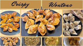 Fried Wonton Recipe  Chicken Wonton [upl. by Anniroc120]