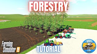 How to Do Forestry in Farming Simulator 19 [upl. by Dviad]