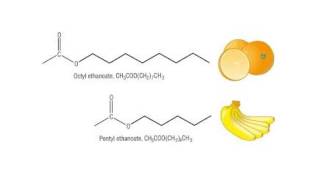 Carboxylic acids and esters [upl. by Sirrot]