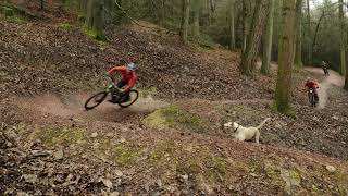 The Forest of Dean Blue graded Verderers Mountain Bike Trail  Pedalabikeaway Official Trailer [upl. by Sowell]