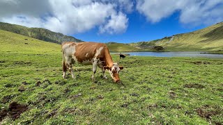 Corvo  the smallest island of the Azores [upl. by Annonyw209]