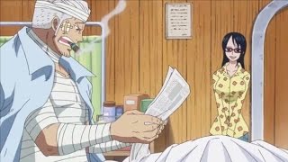 Smokey Learns About Luffy and Laws Victory  One Piece 736 [upl. by Ahcim]