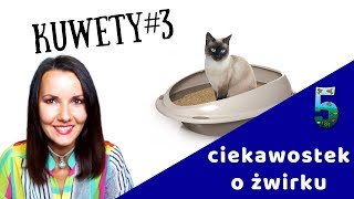 KUWETologia odc 3  5 ciekawostek o żwirku dla kota [upl. by Milore]