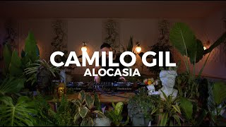 Minimal deep house sounds at Casa Sanz by Camilo Gil  Alocasia TV Santiago [upl. by Refinnaj]