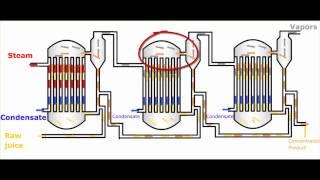 Multiple Effect Evaporators  Introduction [upl. by Nessnaj]