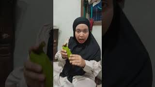 lagi makan semangka semangka lucu makanbuah funny shorts videoshort [upl. by Ettenowtna]