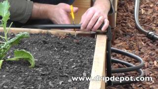 How to install a Drip Irrigation System in Raised Beds [upl. by Nylireg]