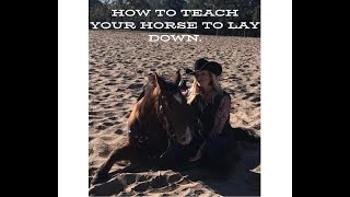 How To Teach Your Horse To Lay Down [upl. by Rekab671]