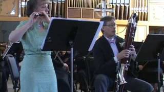 Concerto for Piccolo and Contrabassoon I Allegro giusto  Damian Montano [upl. by Hildegaard]