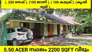 550 ACER സ്ഥലം 2200 sqft വീടും 5 bhk വീട് 250 തേക് 150 ജാതി കൃഷി ഭൂമി ലാഭം video കണ്ടു നോകാം [upl. by Auhsot777]