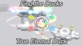 How to get True Eternal Duck  Find the Ducks [upl. by Ennairek]