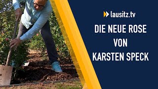 Zuwachs im Rosengarten Lübben Karsten Speck pflanzt eine quotArtemisquot [upl. by Alur781]