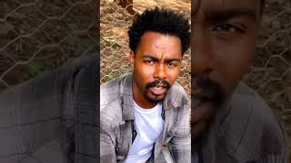 ገራሚ ግጥም በብዙአየሁ  ቀን አይጣልህ Shorts habjooentertainment [upl. by Homer460]