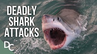 Deadly Shark Attacks Of Australia  Shark Alarm Australias Deadliest Year  Documentary Central [upl. by Eelyrag]