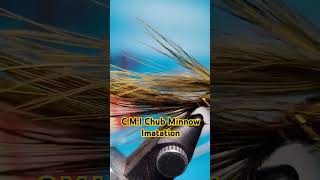 Minnow Bait Fish Fly Pattern flytying fishing [upl. by Rebmat]