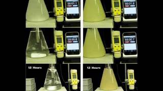 Gypsum vs Calcium Sulfate Anhydrite [upl. by Johanan]