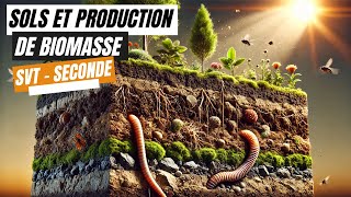 Sols et production de biomasse  SVT seconde [upl. by Knowland546]