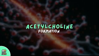 Acetyl choline  synthesis amp release  Simple amp Easy Explanation 🚀 [upl. by Oicapot]