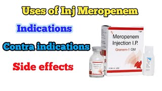 inj meropenem 1gm uses in hindi meropenem iv injection  contraindications of meropenem [upl. by Eolcin765]