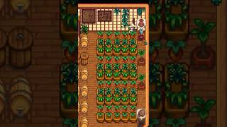 Stardew Valley Shed Idea 🧃 [upl. by Dhar616]