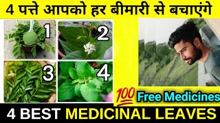 4 पत्ते आपको हर बीमारी सें बचाएंगे 🙂  तो क्यूँ बार बार आप Medical स्टोर जायेंगे  🤔 [upl. by Adekahs]