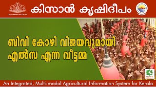 Documenatary on poultry rearing  BV380 variety  kissan krishideepam Episode 656 [upl. by Sidalg59]