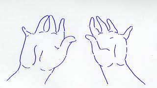 hands  short animation [upl. by Patrica959]